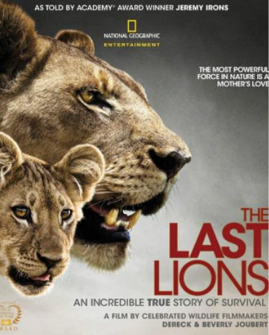 ����ʮ��o��Ӱ���а񣬿ɐ۵Ą����`��Ԝ�C���������¶�F��