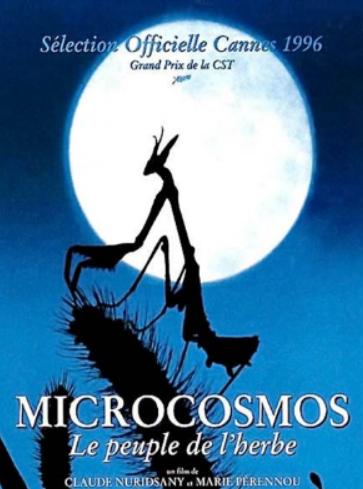 ����ʮ��o��Ӱ���а񣬿ɐ۵Ą����`��Ԝ�C���������¶�F��