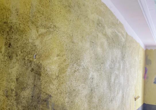 ���ˉ���߀��Ҫ��W(w��ng)�������̺ͷ�ˮ�Ă�������