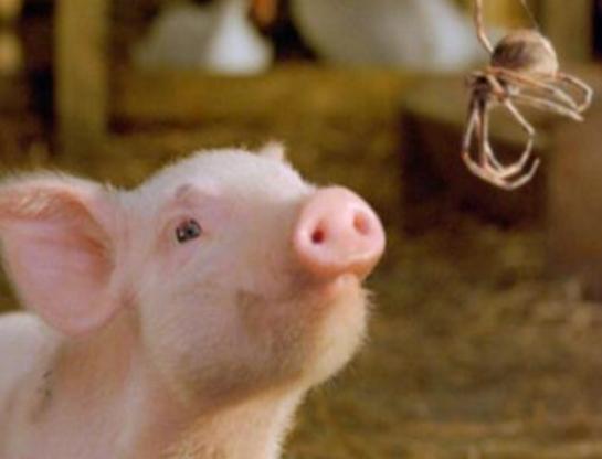 世界十大兒童電影排名,《再見啦我們的幼兒園》《納尼亞傳奇》令人深思 世界十大兒童電影排名,《再見啦我們的幼兒園》《納尼亞傳奇》令人深思