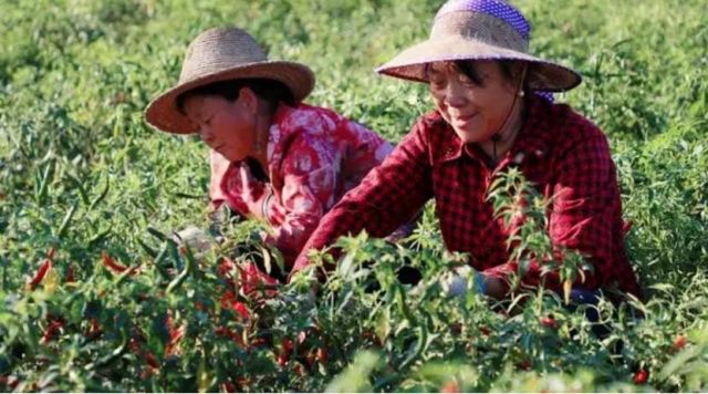 ���������L�����ͭh�� �����Ĳ��N����