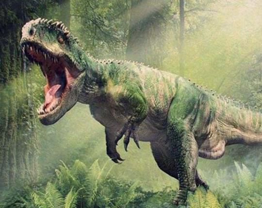 十大好看的恐龍電影,侏羅紀世界迎來自己的時代、哥斯拉重溫經典 十大好看的恐龍電影,侏羅紀世界迎來自己的時代、哥斯拉重溫經典