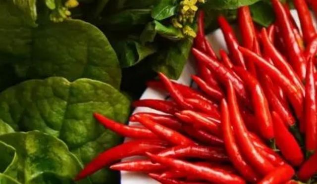 �������еĠI�B ���������w������