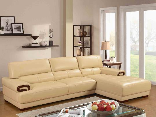 ��Ƥɳ�l��ʲô�����Ѽy��Ƥɳ�l�QƤ�����Ҫ�����X