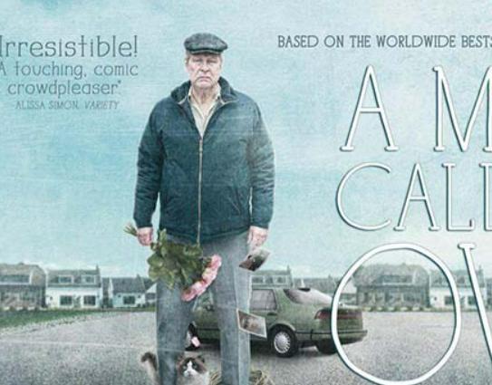 十大高分治愈系電影排名,《外婆的家》《再次出發》讓你珍惜珍貴的 十大高分治愈系電影排名,《外婆的家》《再次出發》讓你珍惜珍貴的