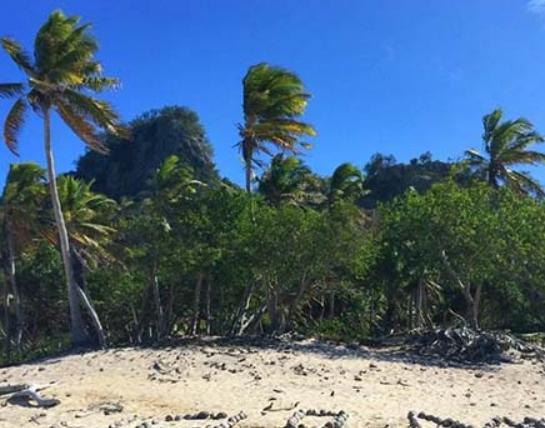 全球十大冒險電影排行榜,重見天日、荒島余生帶你深林其中 全球十大冒險電影排行榜,重見天日、荒島余生帶你深林其中