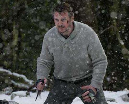 全球十大冒險電影排行榜,重見天日、荒島余生帶你深林其中 全球十大冒險電影排行榜,重見天日、荒島余生帶你深林其中