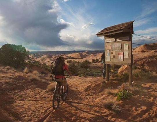 全球十大冒險電影排行榜,重見天日、荒島余生帶你深林其中 全球十大冒險電影排行榜,重見天日、荒島余生帶你深林其中