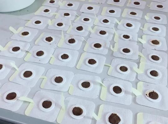 �N�����N���ܳ�ʲôˮ���������N�����](m��i)�N�з�߀���N��