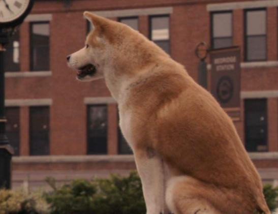 十大最經典劇情的電影,海上鋼琴師、霸王別姬都是值得幾刷的經典 十大最經典劇情的電影,海上鋼琴師、霸王別姬都是值得幾刷的經典