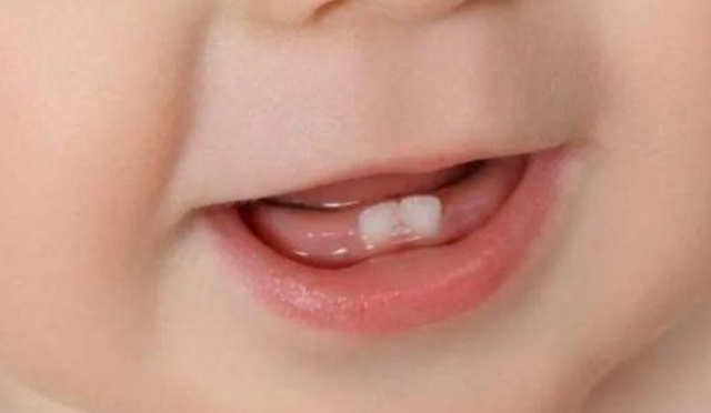 磨牙棒一根能吃多久?磨牙餅干剩下還能吃嗎 磨牙棒一根能吃多久?磨牙餅干剩下還能吃嗎