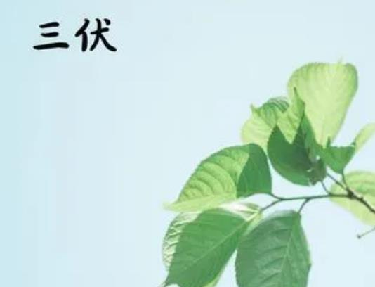 ��ʲô��Ҷ�ϲ�g������񱳣��������̫ꖳ������߀���ٺ�