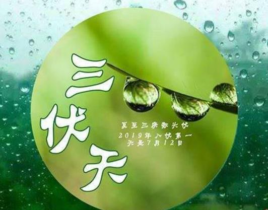 ��ʲô��Ҷ�ϲ�g����������������̫�(y��ng)�������߀���ٺ�