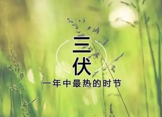 ��ʲô��Ҷ�ϲ�g����������������̫ꖳ��������Л]��ɶ�v��