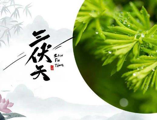 三伏天如何正確曬太陽?三伏天濕氣重曬太陽有用嗎 三伏天如何正確曬太陽?三伏天濕氣重曬太陽有用嗎