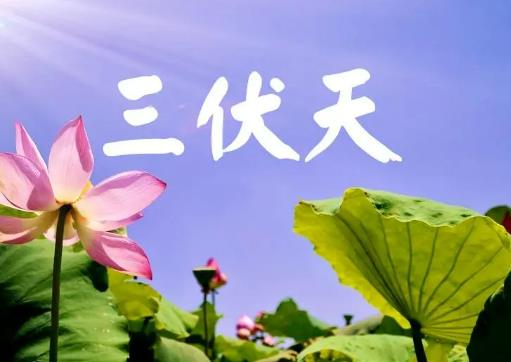 三伏天如何正確曬太陽?三伏天濕氣重曬太陽有用嗎 三伏天如何正確曬太陽?三伏天濕氣重曬太陽有用嗎