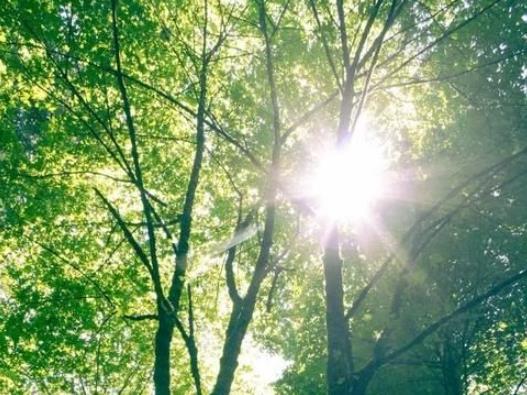 2023年三伏天有潤(rùn)伏嗎?2023年三伏天曬背的最佳時(shí)間是哪個(gè)時(shí)間段 2023年三伏天有潤(rùn)伏嗎?2023年三伏天曬背的最佳時(shí)間是哪個(gè)時(shí)間段