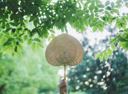 ������񱳺�����Щ�挍������������񱳶���ų����