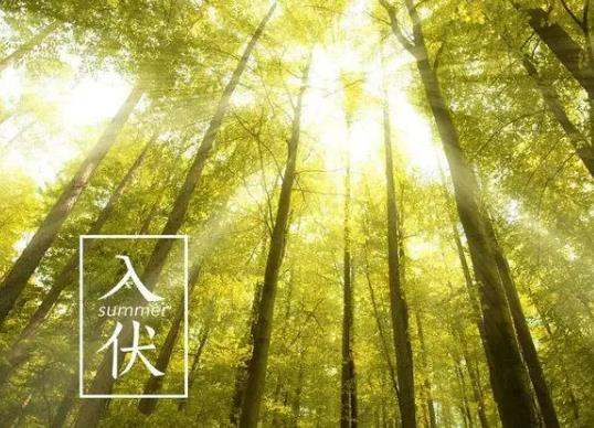 三伏天曬背多久排出體內(nèi)毒素?三伏天曬背的排寒反應(yīng) 三伏天曬背多久排出體內(nèi)毒素?三伏天曬背的排寒反應(yīng)