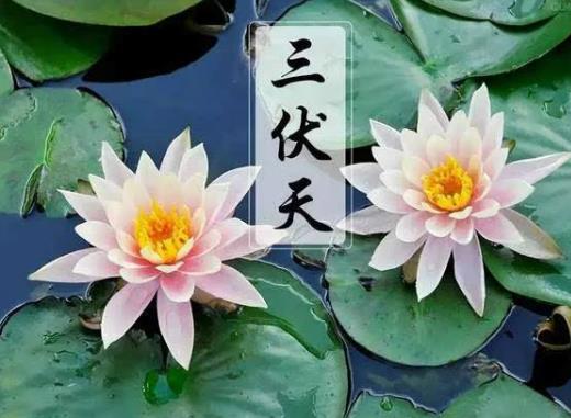 ������񱳺���Ժ�ˮ�᣿������񱳺��ÿ��Դ��L��