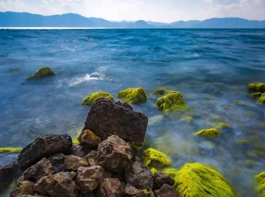 ���ɺ��m�ώ��·�ȥ���Σ����ɺ���ĺ�а��