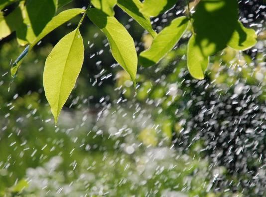 �����@ô���Zʳ߀�����S�Ն᣿�����°����Ǹɺ�������