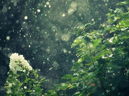 �����°����꾰��ô�ӣ�����ļZʳ���oȱ��