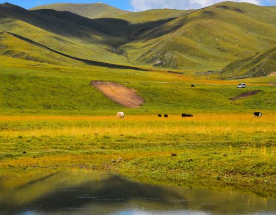 中國六大最美草原排名,呼倫貝爾東部草原、伊犁草原令人心曠神怡 中國六大最美草原排名,呼倫貝爾東部草原、伊犁草原令人心曠神怡