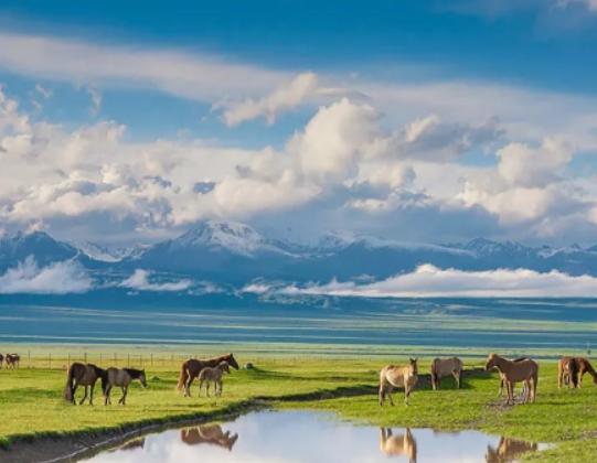 中國十大最冷的地方,漠河被稱為神州北極、富蘊被稱為天然地質博物館 中國十大最冷的地方,漠河被稱為神州北極、富蘊被稱為天然地質博物館