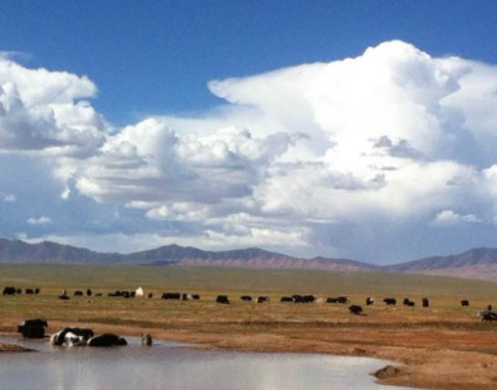 中國十大最冷的地方,漠河被稱為神州北極、富蘊被稱為天然地質博物館 中國十大最冷的地方,漠河被稱為神州北極、富蘊被稱為天然地質博物館