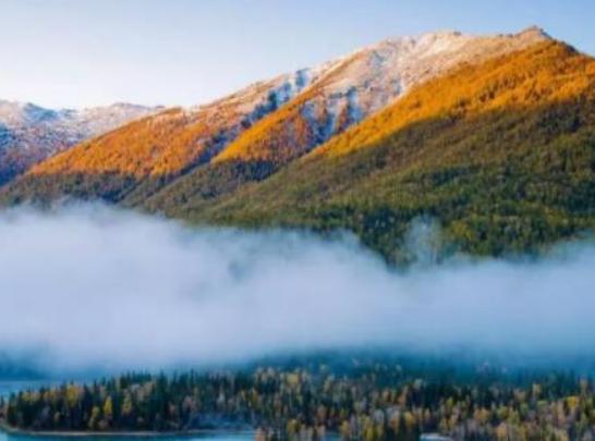中國十大最美森林,輪臺縣塔里木胡楊林公園、天山雪嶺云杉林崇高又圣潔 中國十大最美森林,輪臺縣塔里木胡楊林公園、天山雪嶺云杉林崇高又圣潔