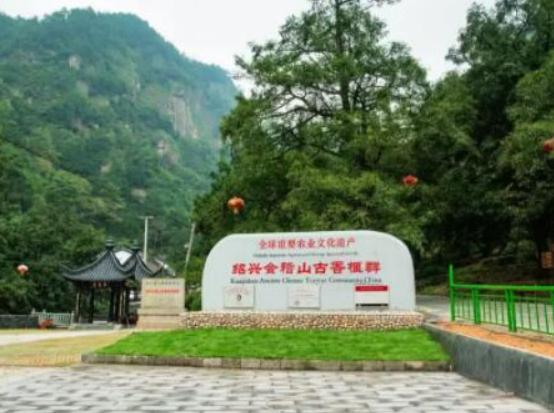 中國十大最美森林,輪臺縣塔里木胡楊林公園、天山雪嶺云杉林崇高又圣潔 中國十大最美森林,輪臺縣塔里木胡楊林公園、天山雪嶺云杉林崇高又圣潔