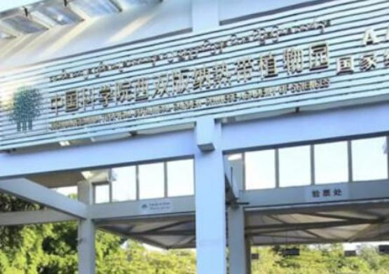 中國十大最美森林,輪臺縣塔里木胡楊林公園、天山雪嶺云杉林崇高又圣潔 中國十大最美森林,輪臺縣塔里木胡楊林公園、天山雪嶺云杉林崇高又圣潔