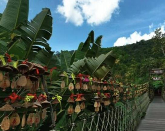 中國十大最美森林,輪臺縣塔里木胡楊林公園、天山雪嶺云杉林崇高又圣潔 中國十大最美森林,輪臺縣塔里木胡楊林公園、天山雪嶺云杉林崇高又圣潔