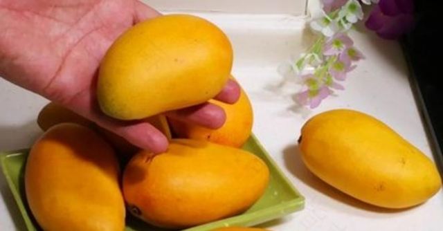 â���^��ԭ����ʲô��  ����Д��ǲ���â���^��