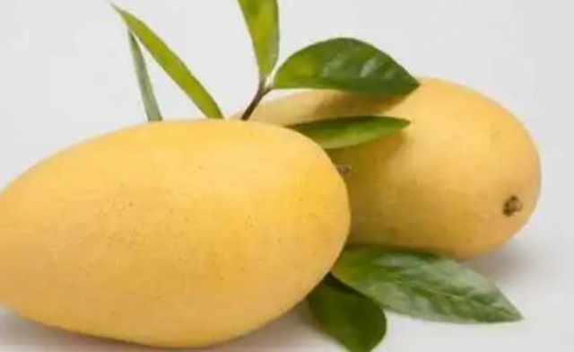 ��â���Ƿ��(hu��)�ߟ� С����â����(hu��)�l(f��)����