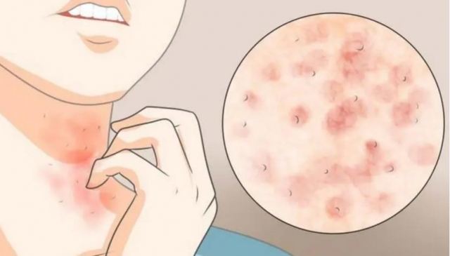 â���^�������ˆ� â���p���^���İY��