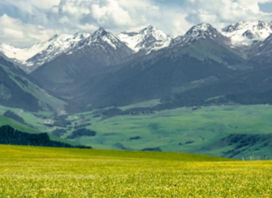 中國十大最美草原,呼倫貝爾草原號稱牧草王國、伊犁草原絢麗多姿 中國十大最美草原,呼倫貝爾草原號稱牧草王國、伊犁草原絢麗多姿