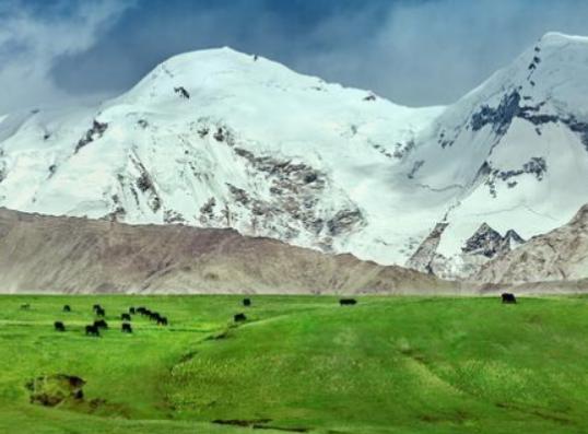 中國十大最美草原,呼倫貝爾草原號稱牧草王國、伊犁草原絢麗多姿 中國十大最美草原,呼倫貝爾草原號稱牧草王國、伊犁草原絢麗多姿