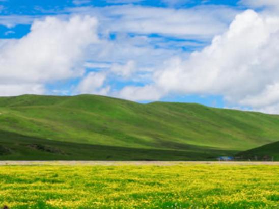 中國十大最美草原,呼倫貝爾草原號稱牧草王國、伊犁草原絢麗多姿 中國十大最美草原,呼倫貝爾草原號稱牧草王國、伊犁草原絢麗多姿