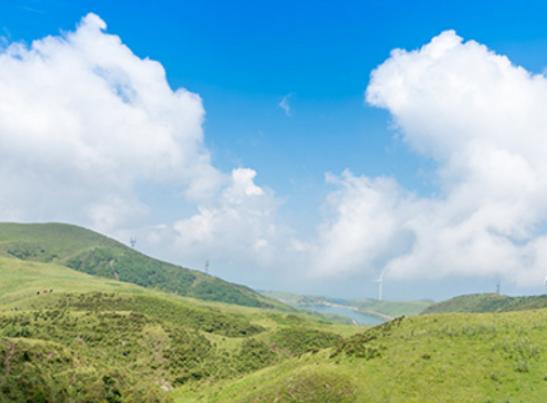 中國十大最美草原,呼倫貝爾草原號稱牧草王國、伊犁草原絢麗多姿 中國十大最美草原,呼倫貝爾草原號稱牧草王國、伊犁草原絢麗多姿