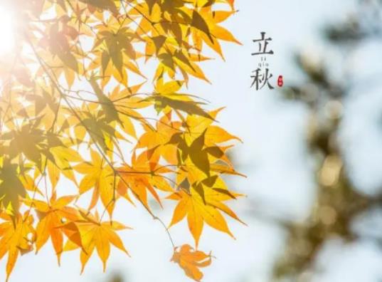 2023�����ﮔ(d��ng)������k��ϯ�᣿2023����������e�л�Y��