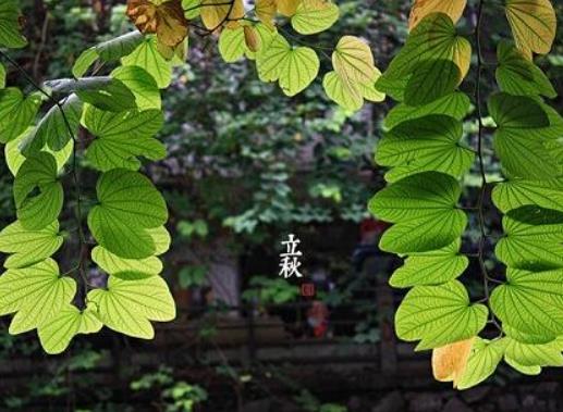 2023�����ﮔ������᣿2023����������I�C�Y���