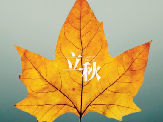 2023�������I(l��ng)�C�Y(ji��)��ò��ã�2023�����������ô��