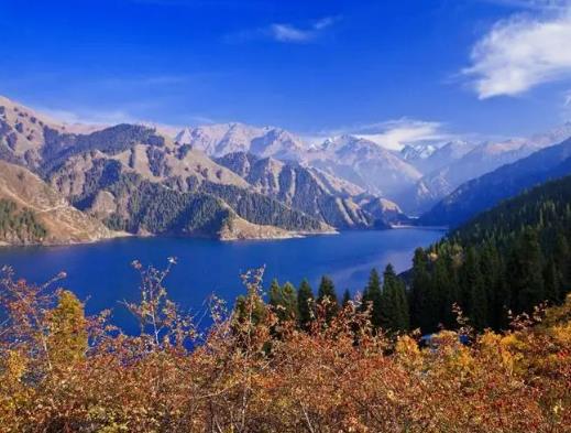 �½��и�ԭ�����᣿2023���½����·ݲ��_ʼ����