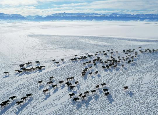 一般人去新疆能適應嗎?新疆溫度降下來要等到幾月份 一般人去新疆能適應嗎?新疆溫度降下來要等到幾月份