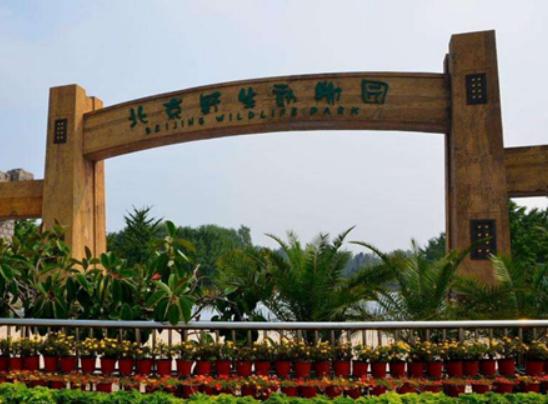 �Ї�ʮ��ɭ�ք���@���V���L¡Ұ������@���������dҰ������@֪���ȸ�