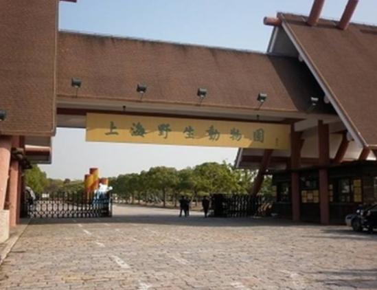 �Ї�ʮ��ɭ�ք���@���V���L¡Ұ������@���������dҰ������@֪���ȸ�