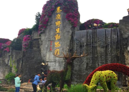 �Ї�ʮ��ɭ�ք���@���V���L¡Ұ������@���������dҰ������@֪���ȸ�