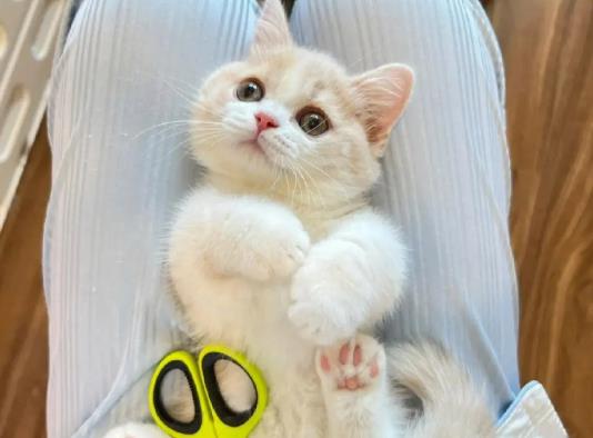 �Lë؈��ë����߀���L��ȥ�᣿؈��ܛ����ô�k